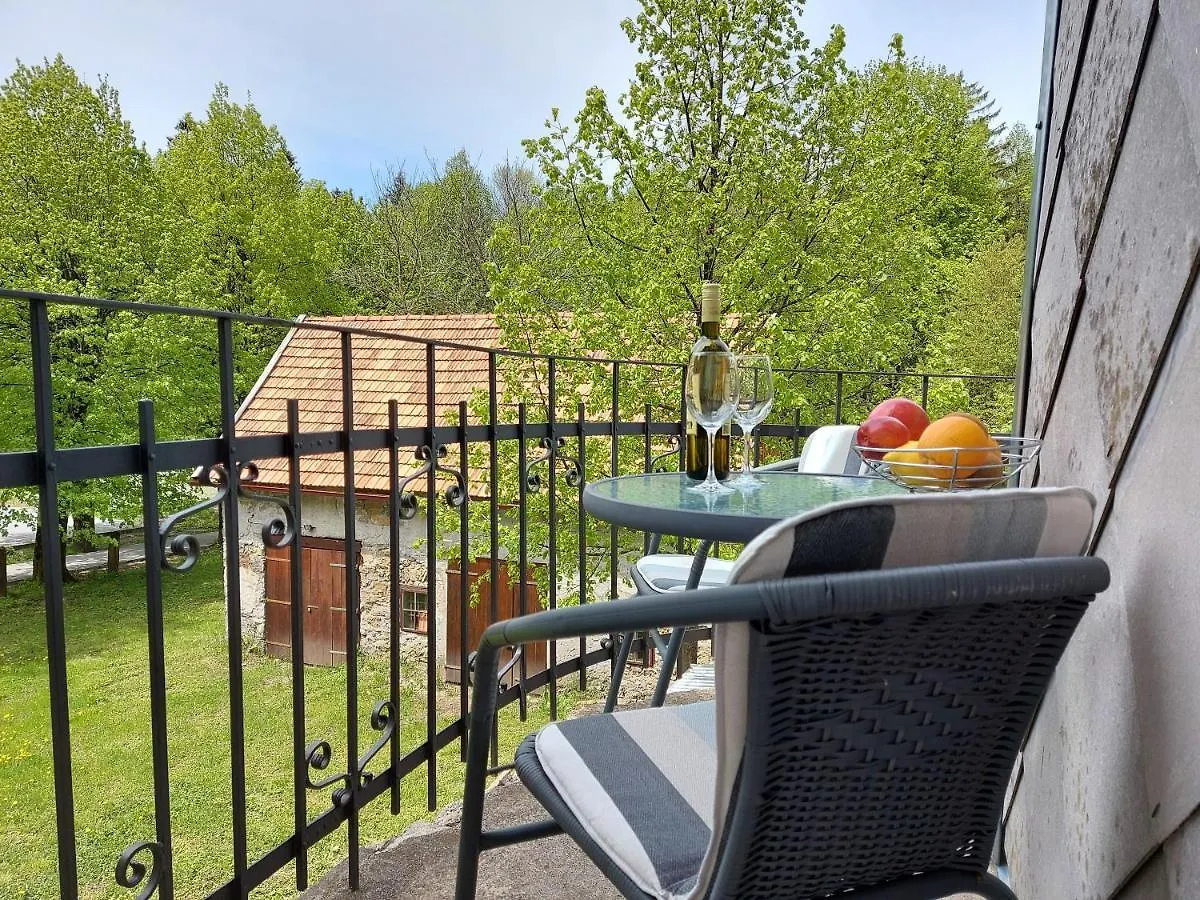 Apartman Tince 0*, Delnice Croatia